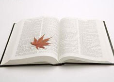 日本女足队员赢得胜利，挺进决赛