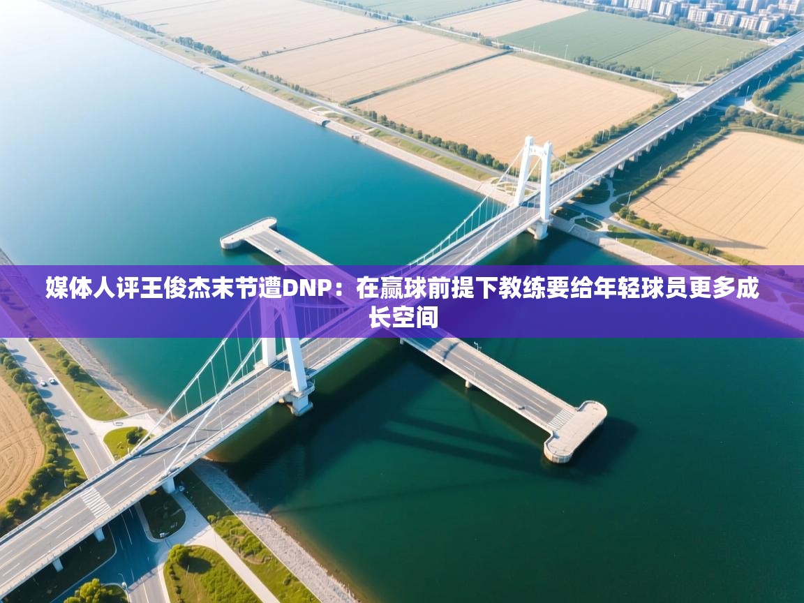 媒体人评王俊杰末节遭DNP:在赢球前提下教练要给年轻球员更多成长空间 第1张