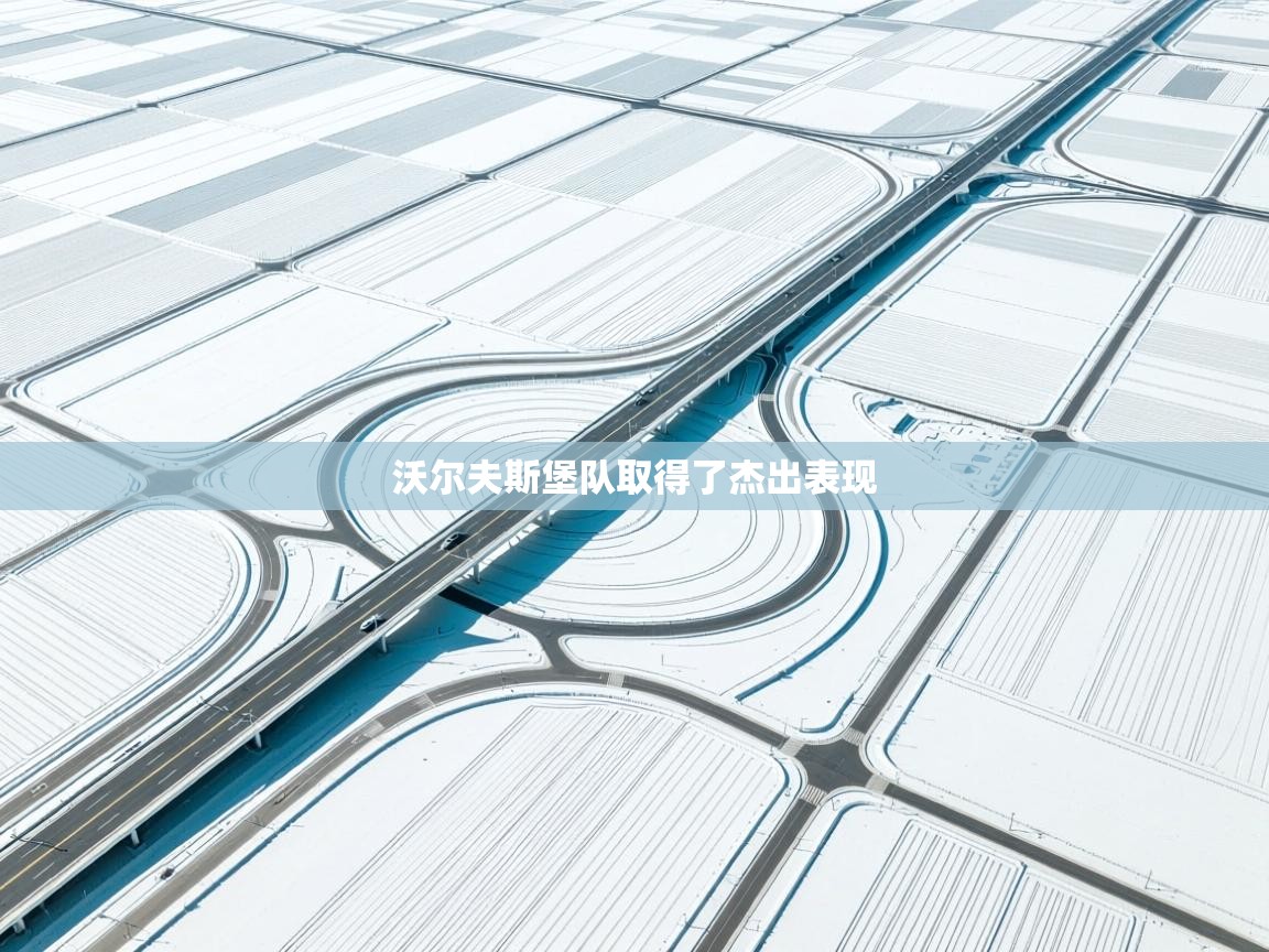 沃尔夫斯堡队取得了杰出表现  第1张