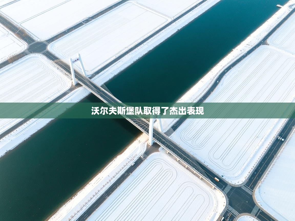 沃尔夫斯堡队取得了杰出表现  第2张