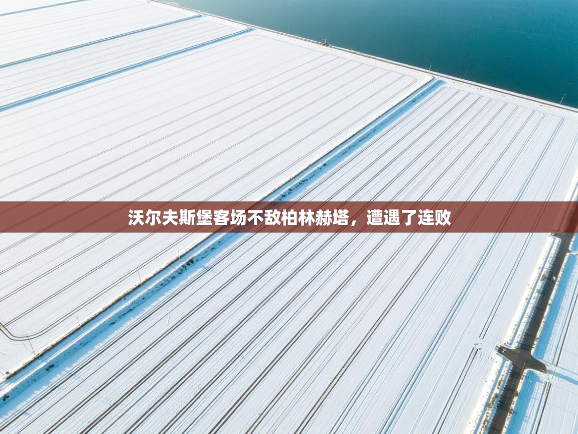 沃尔夫斯堡客场不敌柏林赫塔,遭遇了连败 第2张