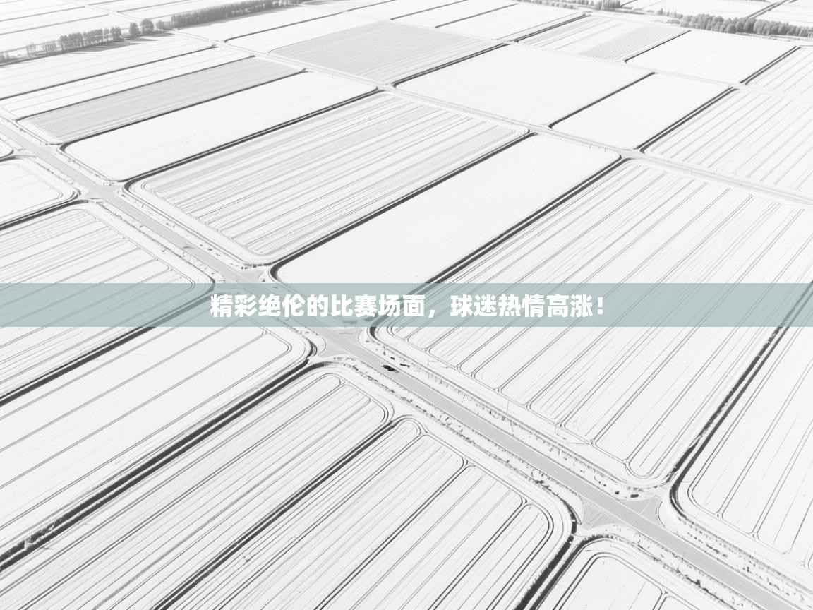 精彩绝伦的比赛场面,球迷热情高涨! 第1张