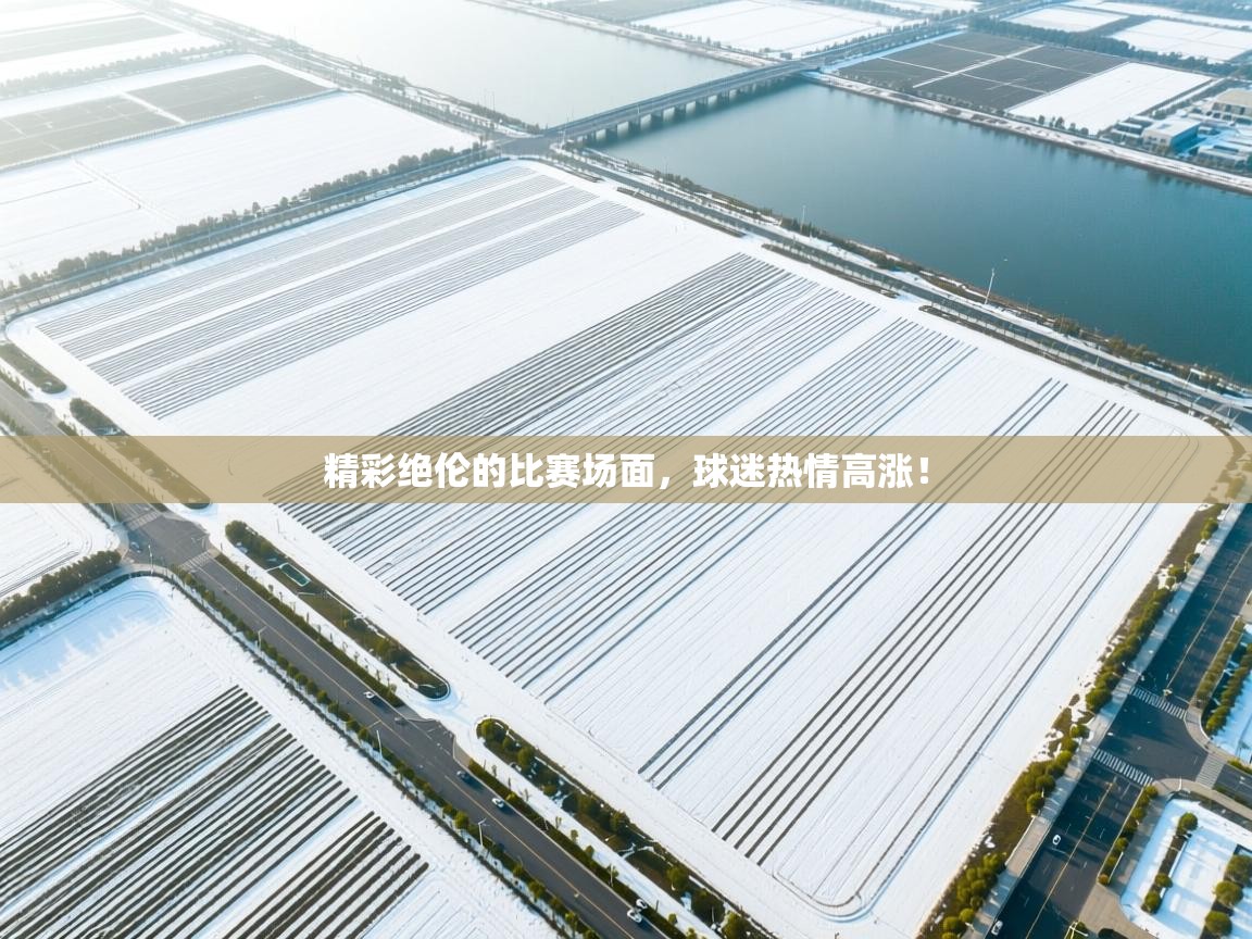 精彩绝伦的比赛场面,球迷热情高涨! 第2张