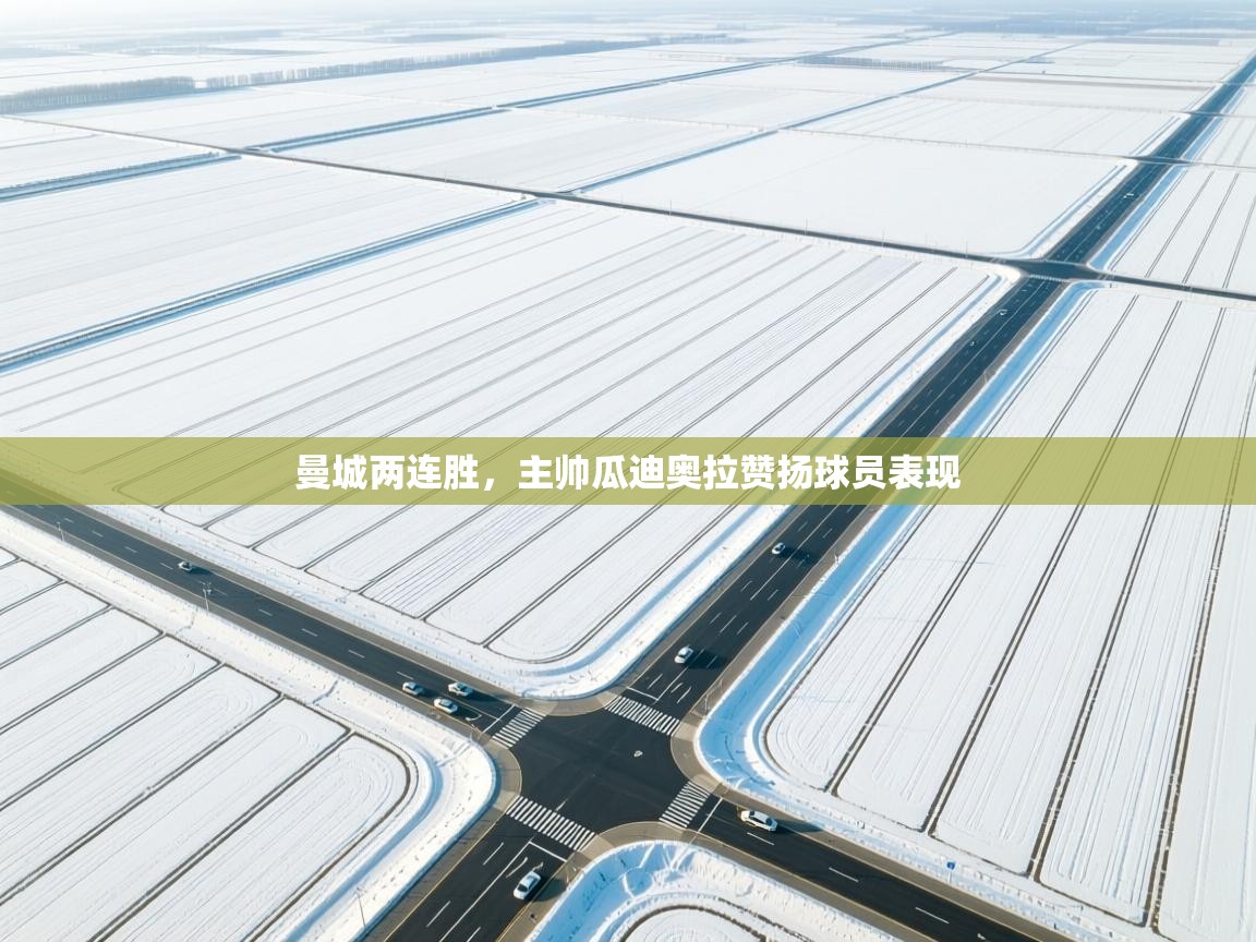 曼城两连胜，主帅瓜迪奥拉赞扬球员表现  第1张