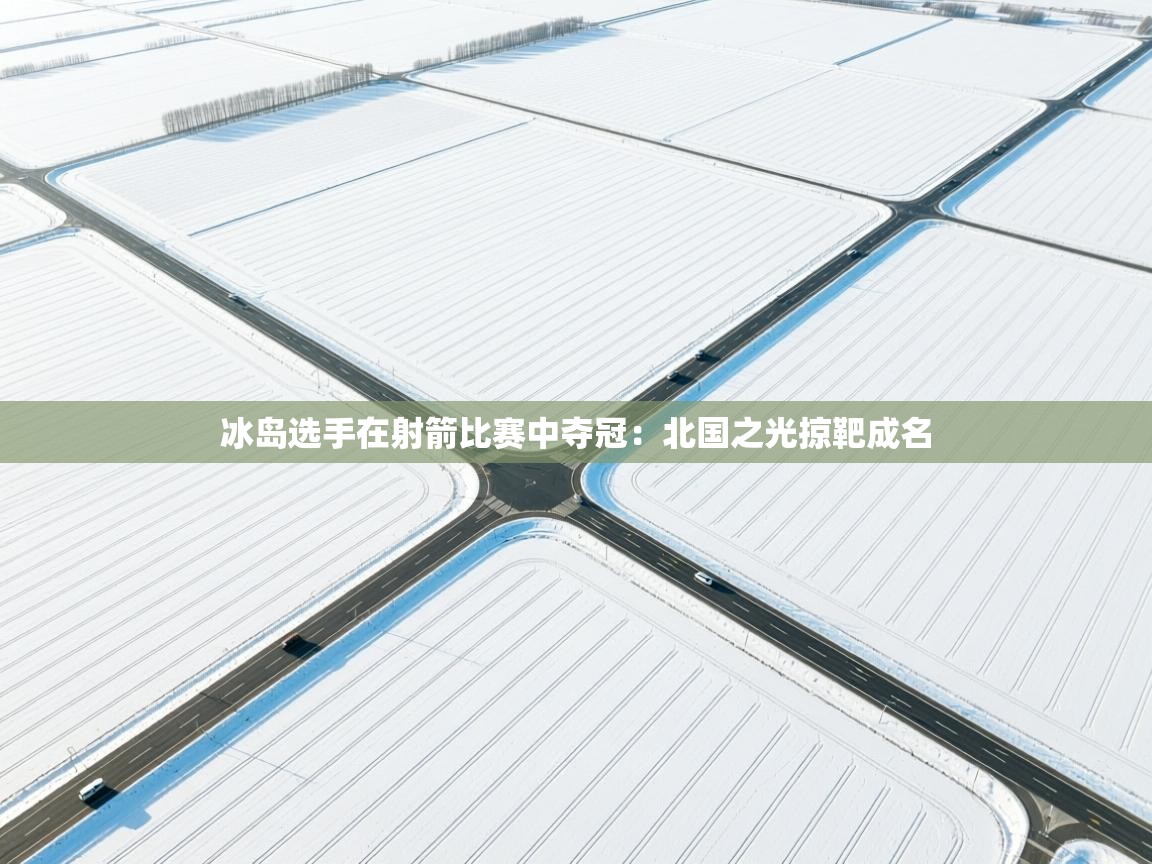 冰岛选手在射箭比赛中夺冠：北国之光掠靶成名  第2张