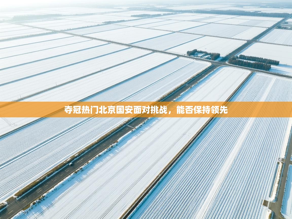 夺冠热门北京国安面对挑战,能否保持领先 第2张