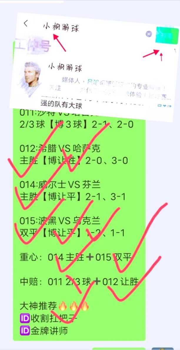 世俱杯官网-荷兰力压对手，以-击败保加利亚的简单介绍